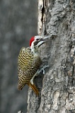 IMG_4206_400