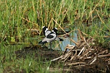 IMG_4496_400