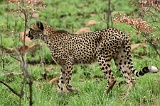 IMG_5225_400