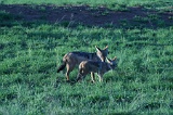 IMG_5349_400