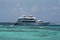 IMG_8439