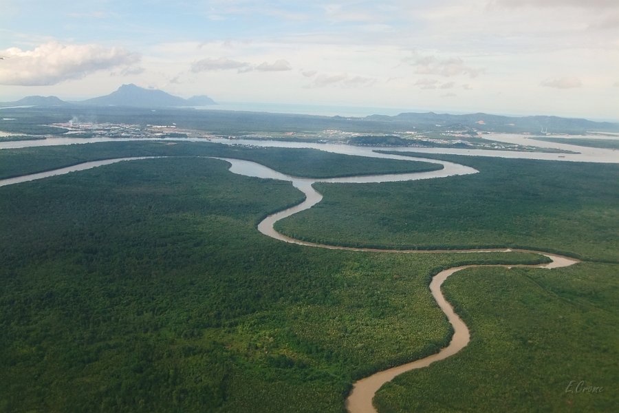 DSCF0259.JPG - Anflug auf Kuching