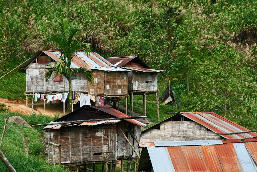 IMG_0611_400.JPG - Orang Asli Dorf