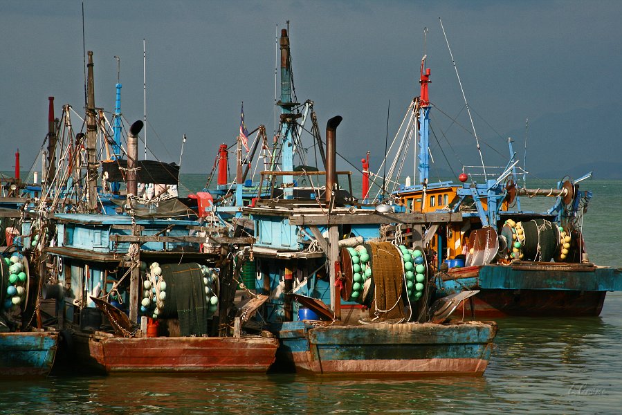 IMG_0899_400.JPG - Fischerflotte auf Penang