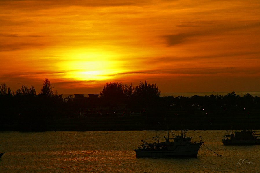 IMG_1251_400.JPG - Abend in Kota Kinabalu