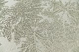 DSCF0395