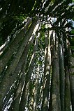 IMG_1216_400