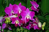 IMG_1566_400