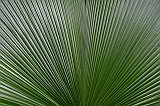 IMG_1614_400