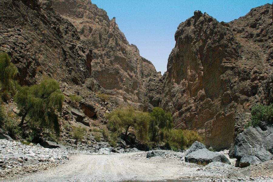 _MG_2371.JPG
