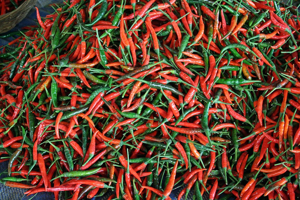 IMG_4637.JPG - Chilli-Mischung