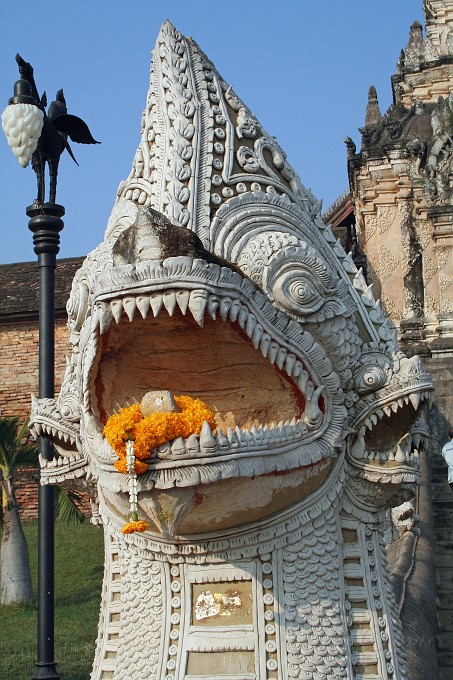IMG_4776.JPG - Naga