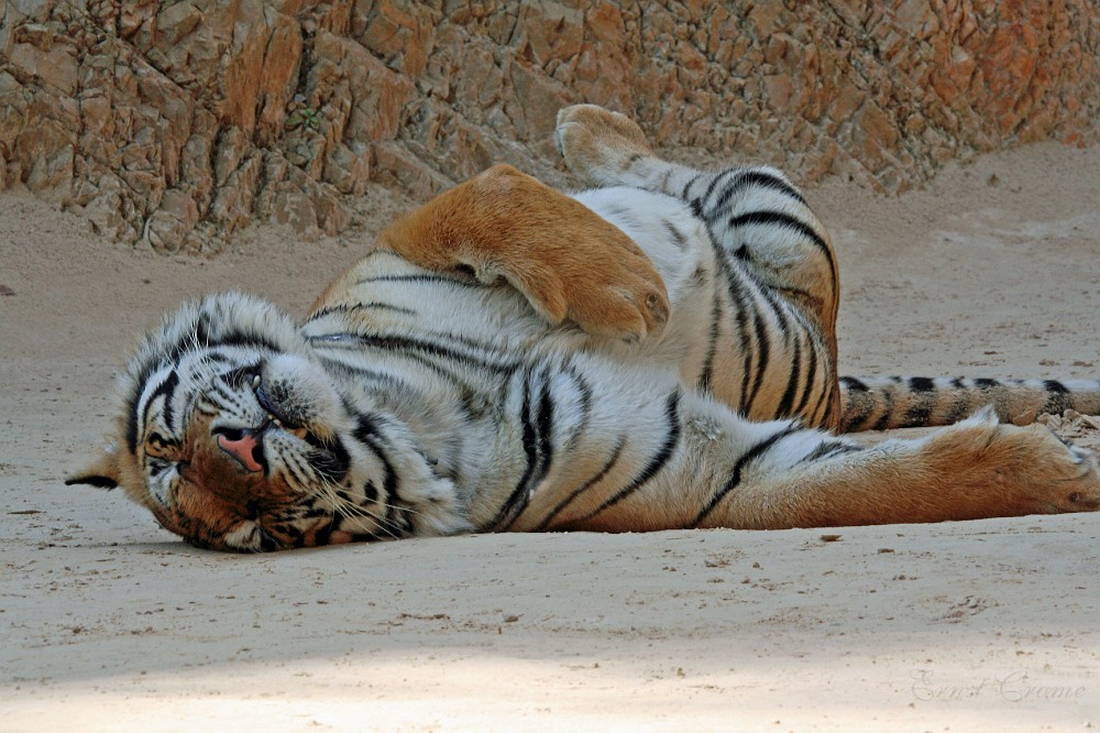 IMG_5189.JPG - nah - ich bin doch toll...