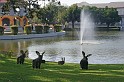 IMG_4442
