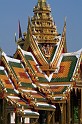 IMG_4458