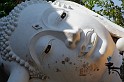 IMG_4462