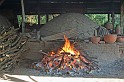 IMG_4495