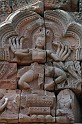 IMG_4528