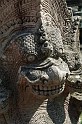 IMG_4555