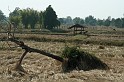 IMG_4567