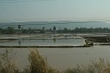 IMG_4665