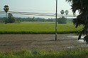 IMG_4671