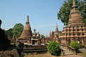 IMG_4736