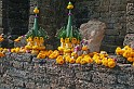 IMG_4751