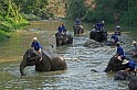 IMG_4781