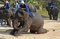 IMG_4785