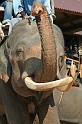 IMG_4788