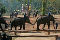 IMG_4795