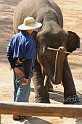 IMG_4799