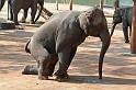 IMG_4800