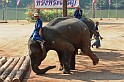 IMG_4805