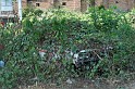 IMG_4826
