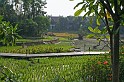 IMG_4845