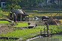 IMG_4847