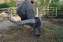 IMG_4910