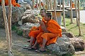 IMG_4973