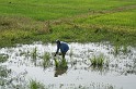 IMG_4995