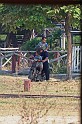 IMG_4997
