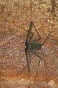 IMG_5051