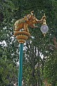 IMG_5057