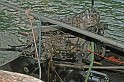 IMG_5109