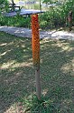 IMG_5120