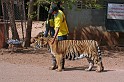 IMG_5150