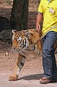 IMG_5155