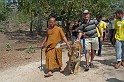 IMG_5159