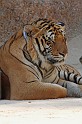 IMG_5167